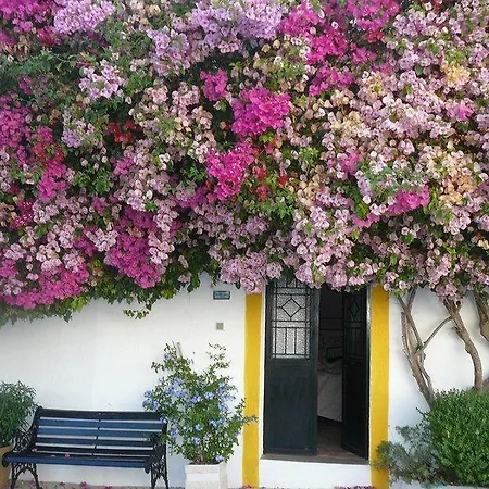 Pensjonat Rio Arade Algarve Manor House